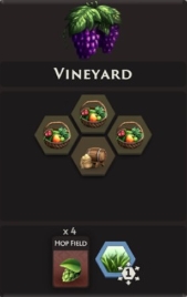 Vineyard