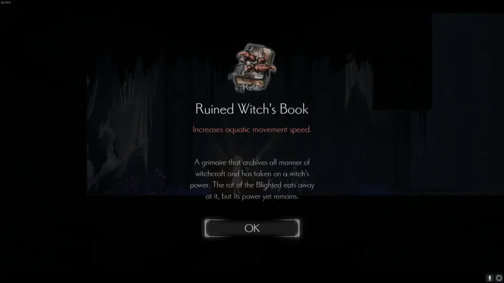 Ruined Witch's Book