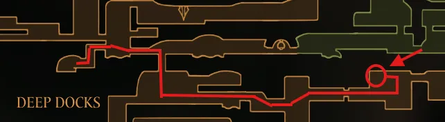 Seared Organ location