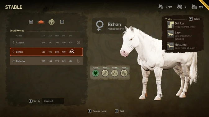 Horse Traits