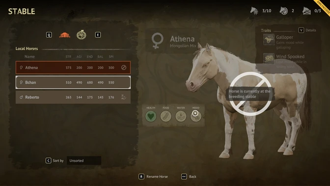 Horse Traits