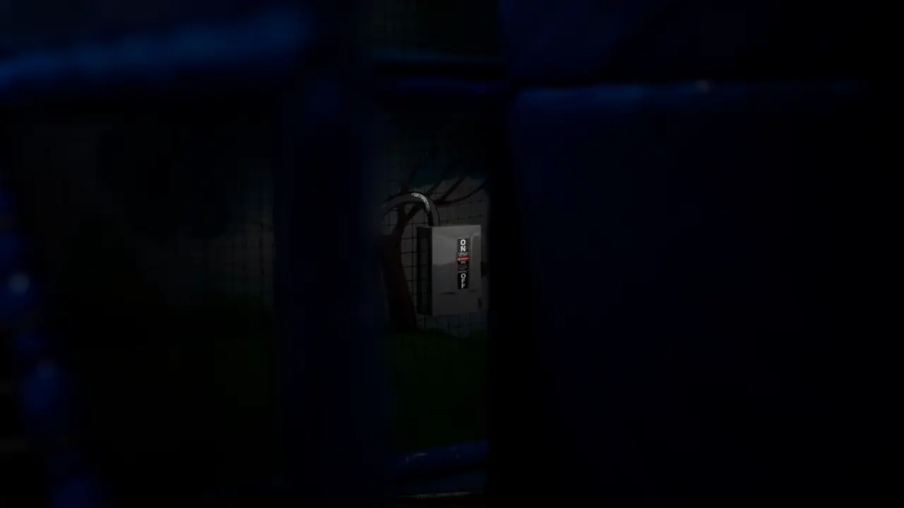 Subliminal Childhood Memories climbing the net