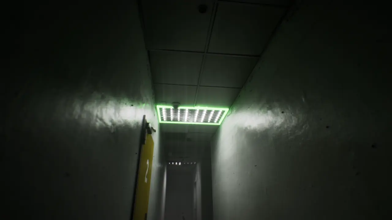 Subliminal Childhood Memories mind the gap section