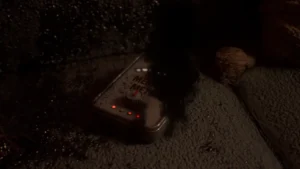 Memory Disposal Ending transition