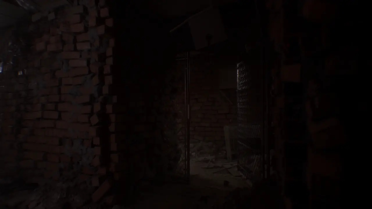 Subliminal Memory Disposal Ending red area