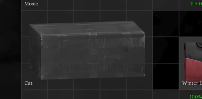 Cat location inside bunker well and rescue point