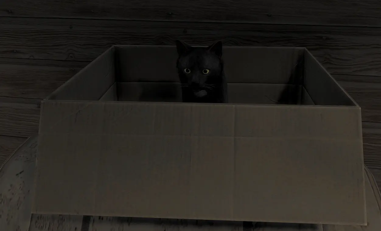 Placing cat box inside cabin to adopt the cat