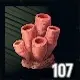 SAND Raiders of Sophie box drop group 11 drop item Coral Chunk