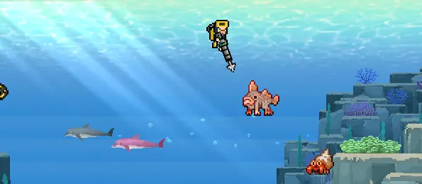 Dolphin Family coral cluster location at 0-50m
