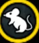 50 or 100 yen route icon