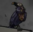 Crow exchange for a 10000 yen coin