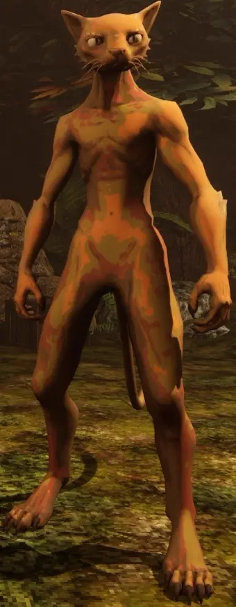 Calyx race character in The Lantern of the Laughless Saint