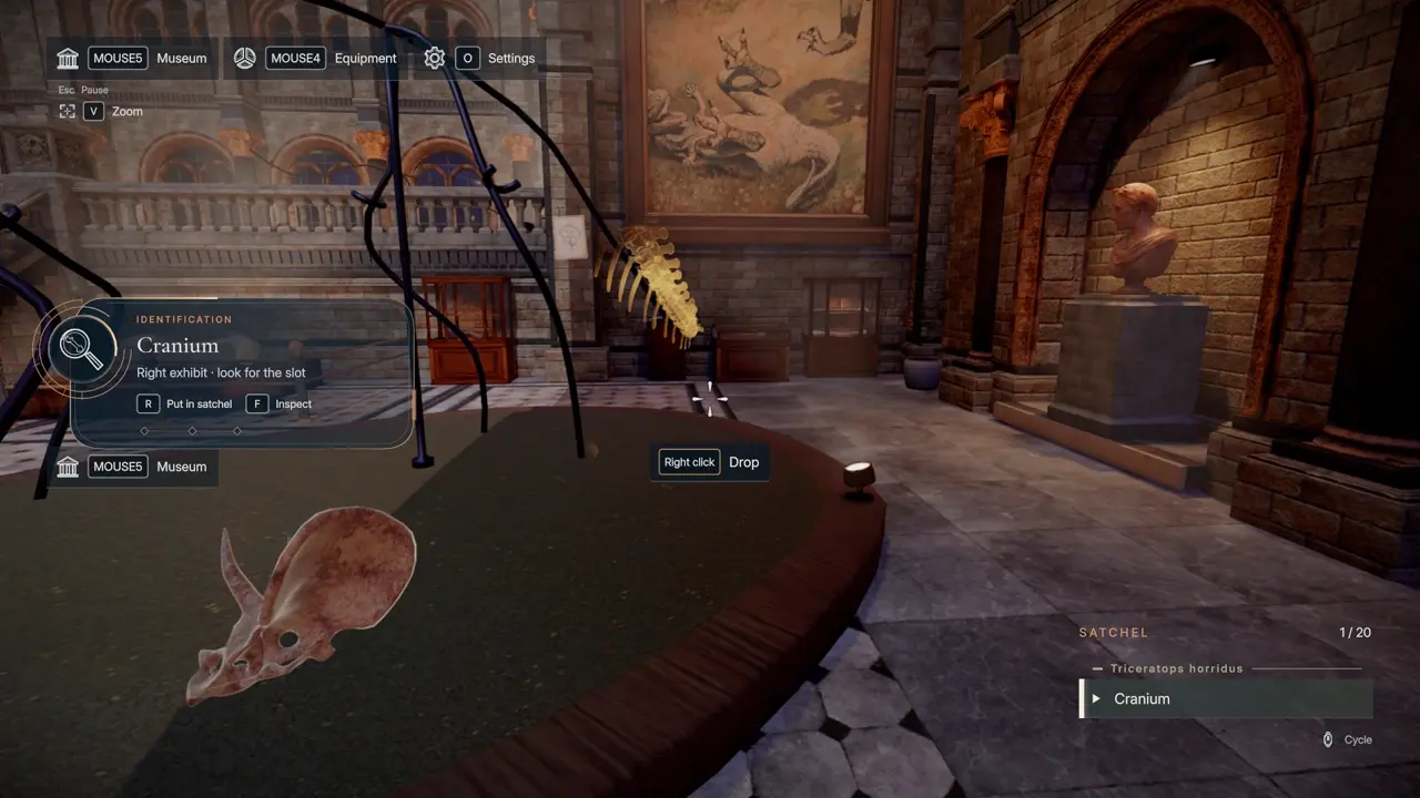 DinoBones red indicator for bone at wrong dinosaur