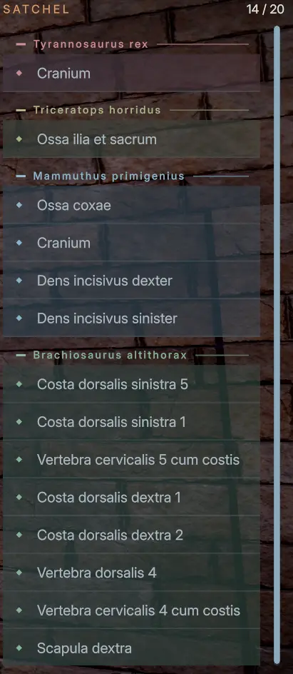 DinoBones carried bone dinosaur category