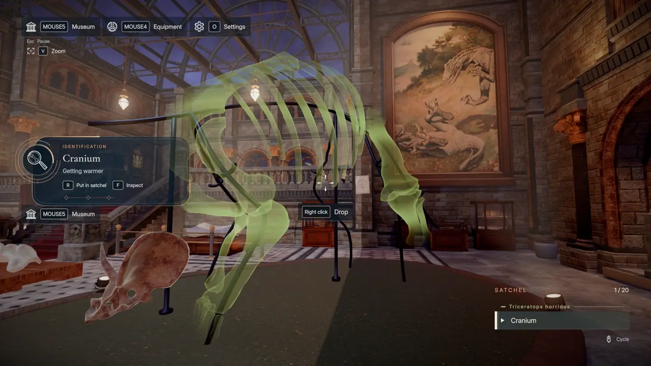 DinoBones warm bone placement indicator