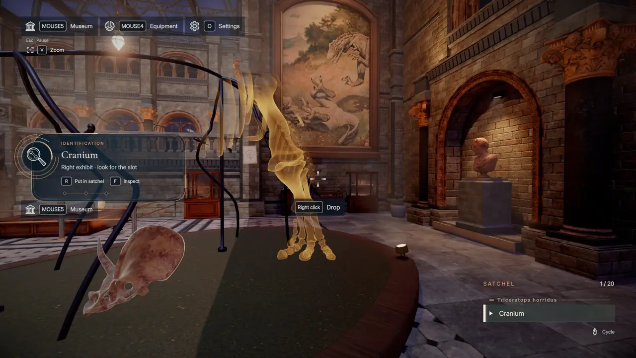 DinoBones hot bone placement indicator