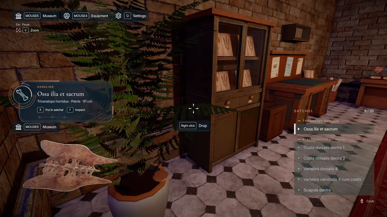 DinoBones first souvenir coin on workshop plant pot