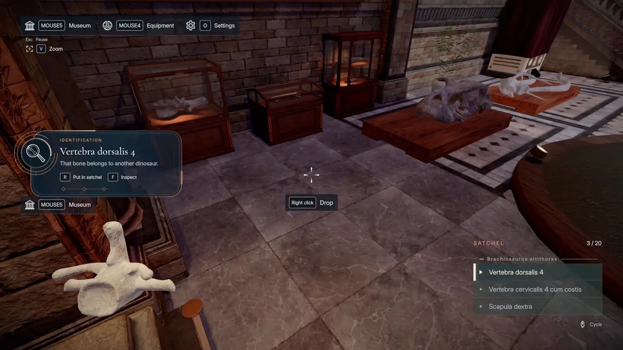 DinoBones third souvenir coin location
