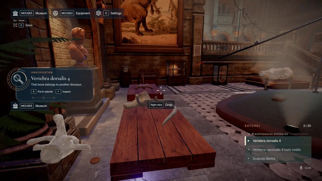 DinoBones seventh souvenir coin near Parasaurolophus pallet