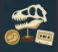 DinoBones More Than a Skeleton achievement