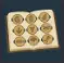 DinoBones No Empty Slots souvenir coin album achievement