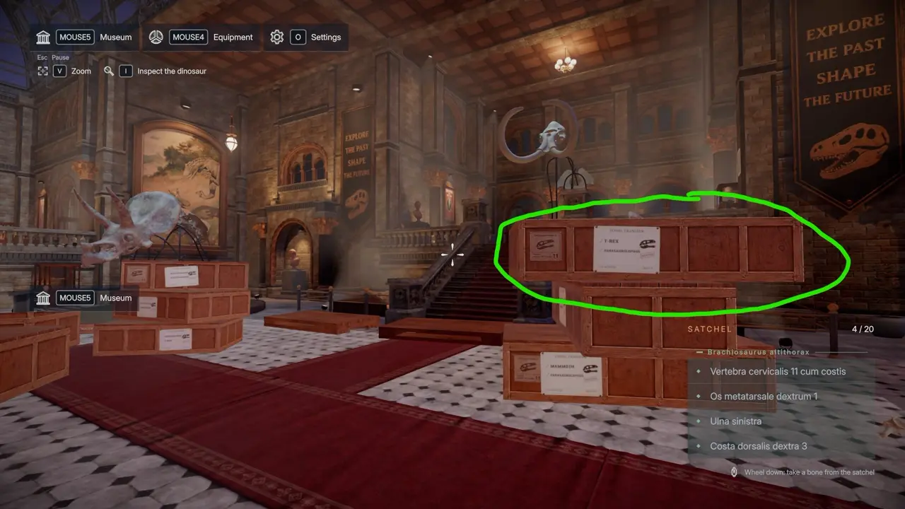 DinoBones Parasaurolophus cranium crate location