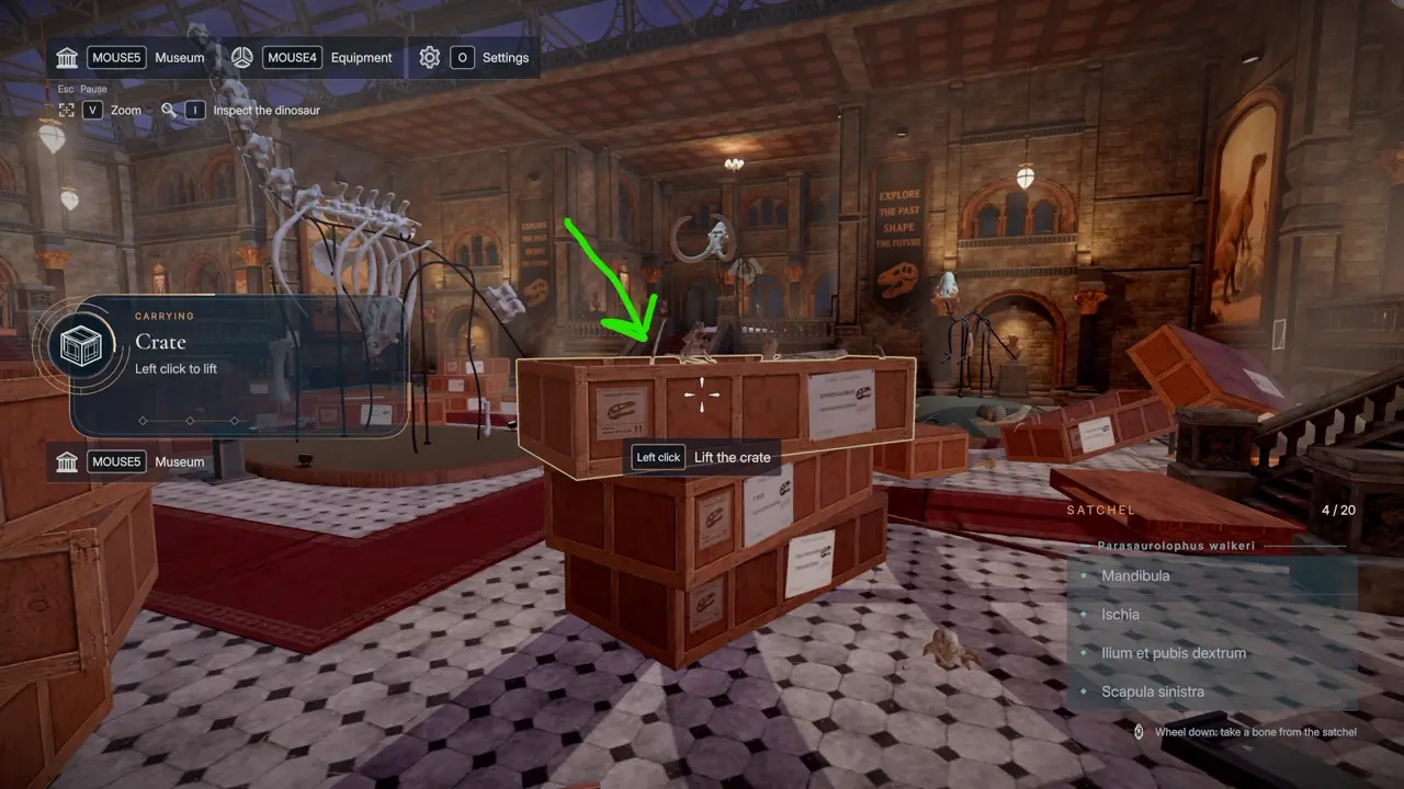 DinoBones Parasaurolophus mandible crate location