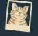DinoBones Say Meow cat photo achievement