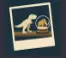 DinoBones Small Wonders T. rex model and snow globe achievement