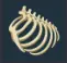 DinoBones Taking Shape achievement