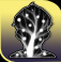 Evolved King achievement icon